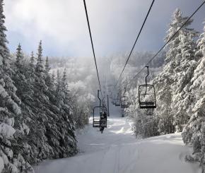 Chair lift surrounded by snow-covered trees