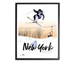 2023-24 SKI NY Poster