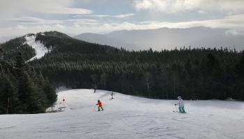 skiers going down trail